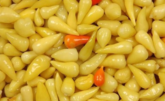 biberiye-tursusu